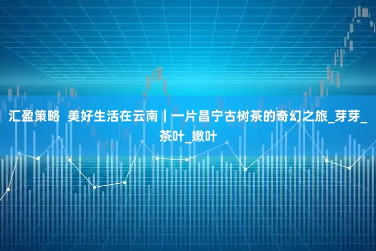 汇盈策略  美好生活在云南｜一片昌宁古树茶的奇幻之旅_芽芽_茶叶_嫩叶