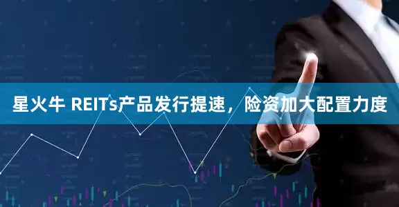 星火牛 REITs产品发行提速，险资加大配置力度
